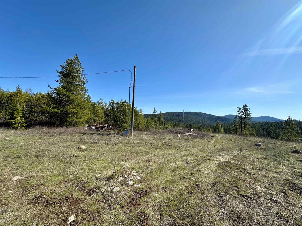 Photo of 1101 Scotia Rd, Newport, WA 99156 (MLS # 202619717)