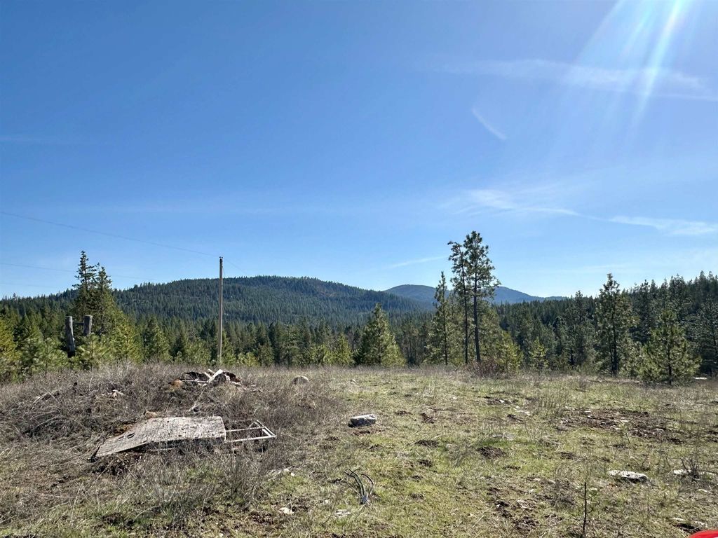 Photo of 1101 Scotia Rd, Newport, WA 99156 (MLS # 202619717)