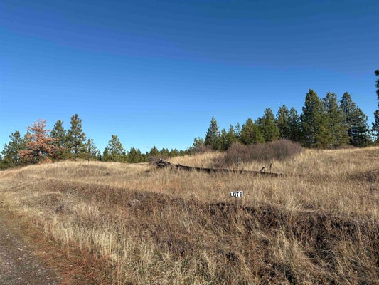 35370 PRAIRIE LN N, CRESTON, WA 99117 - Image dd8e910b1fc96dcd181e62c0bbb13e3e/1835317076