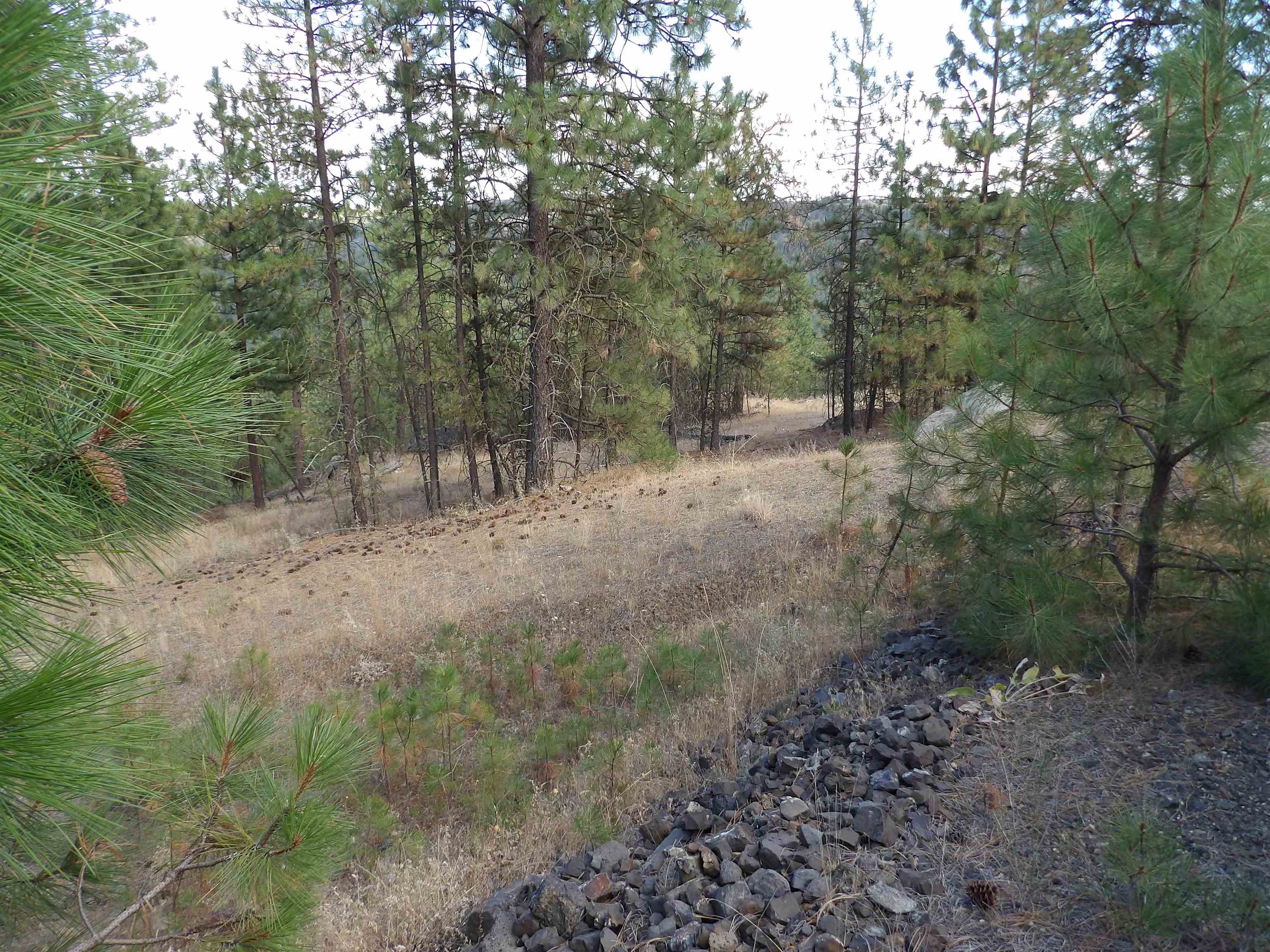 Photo 1 of 14 — 31905 E Ruffed Grouse Dr, Davenport, WA 99122