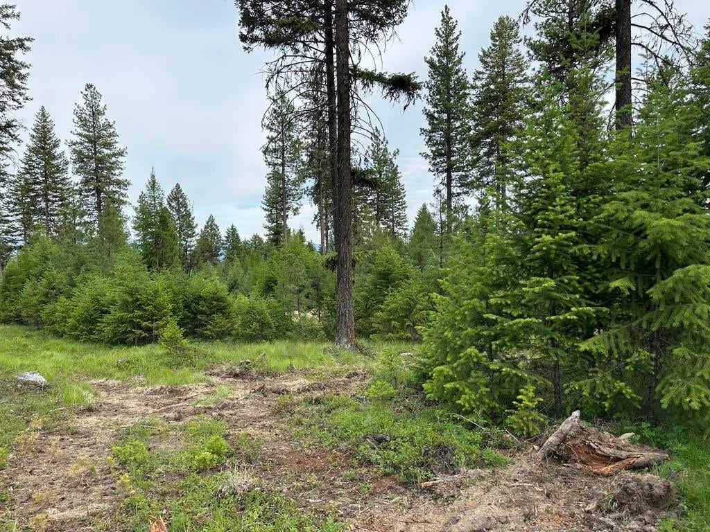 Photo of 36XX Lot B Sheridan Rd, Republic, WA 99166 (MLS # 202624607)