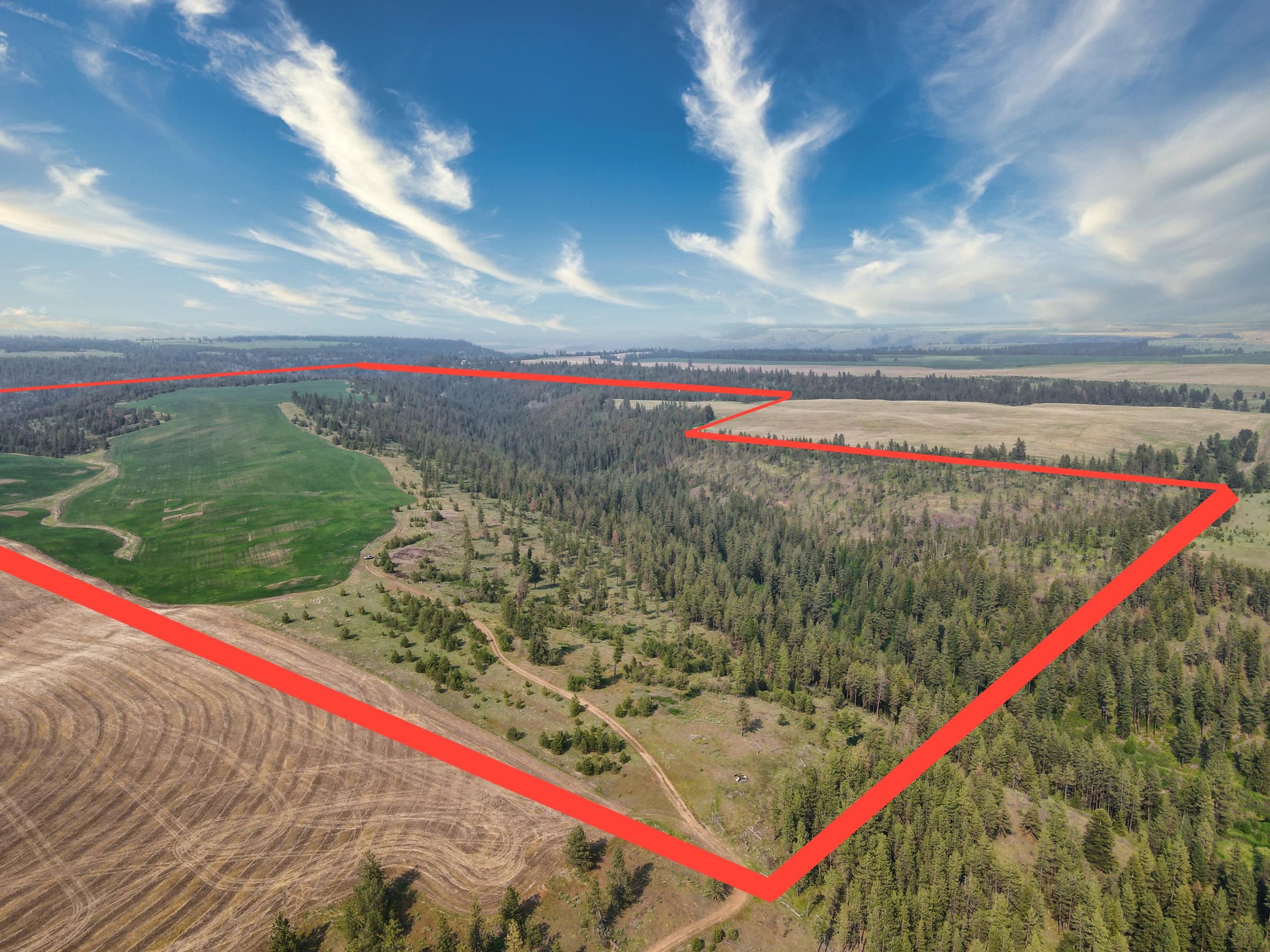 Photo 1 of 50 — 45XXX Devore Rd, Davenport, WA 99122