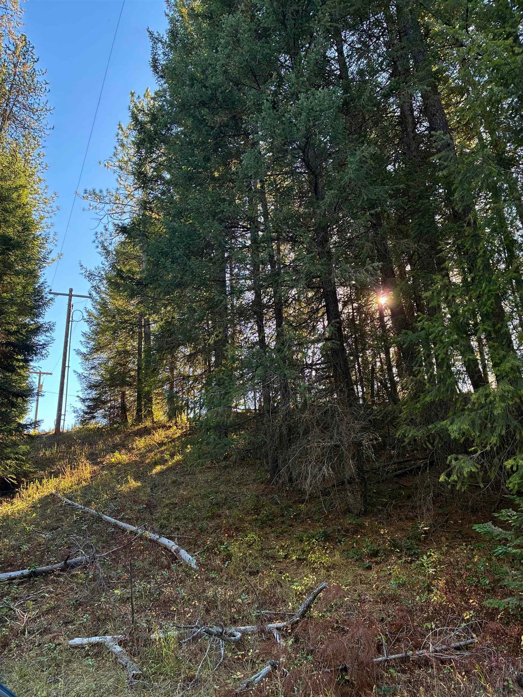 Photo of 7611 Scotia Rd, Newport, WA 99156 (MLS # 202625824)