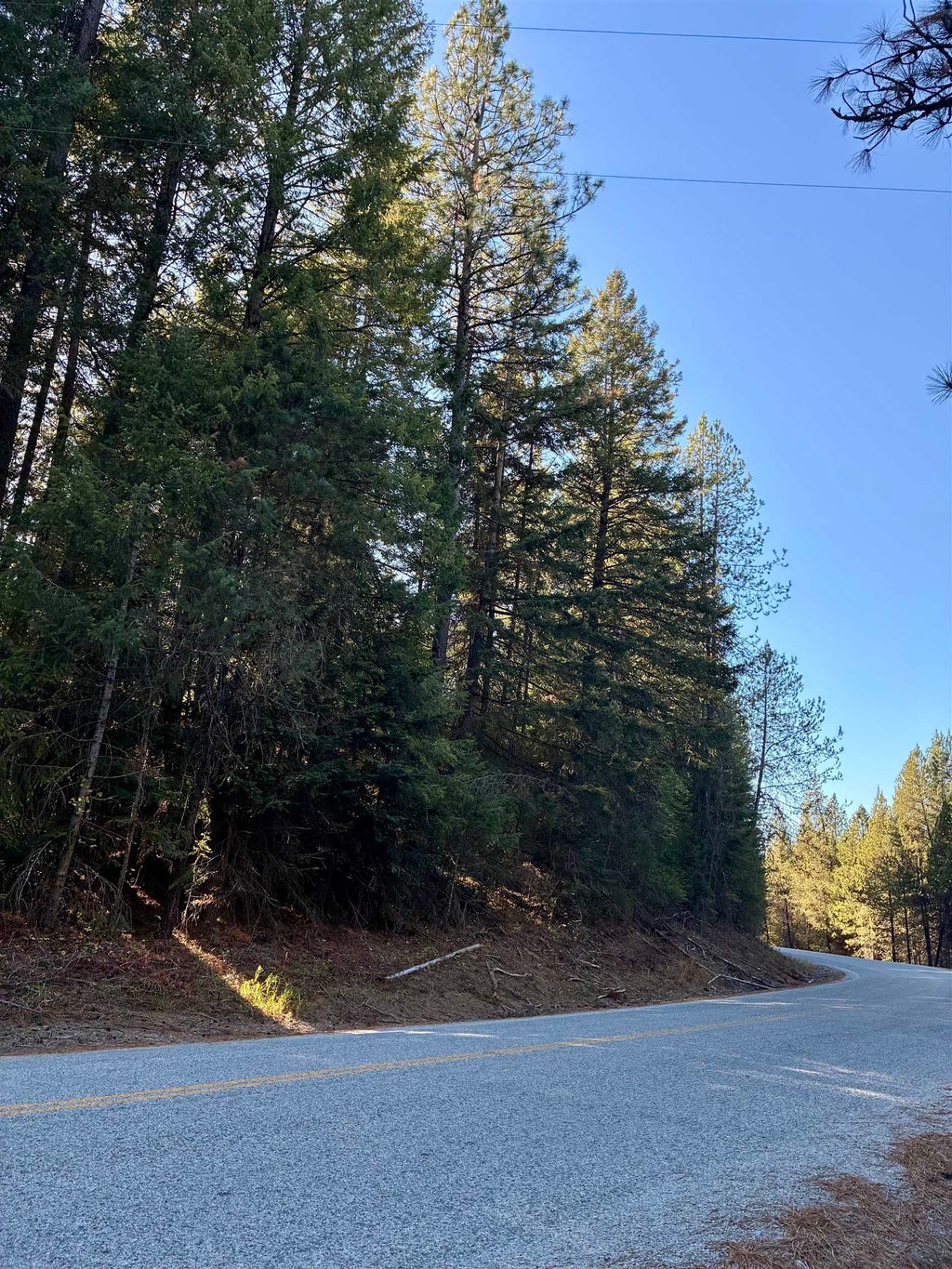 Photo of 7611 Scotia Rd, Newport, WA 99156 (MLS # 202625824)