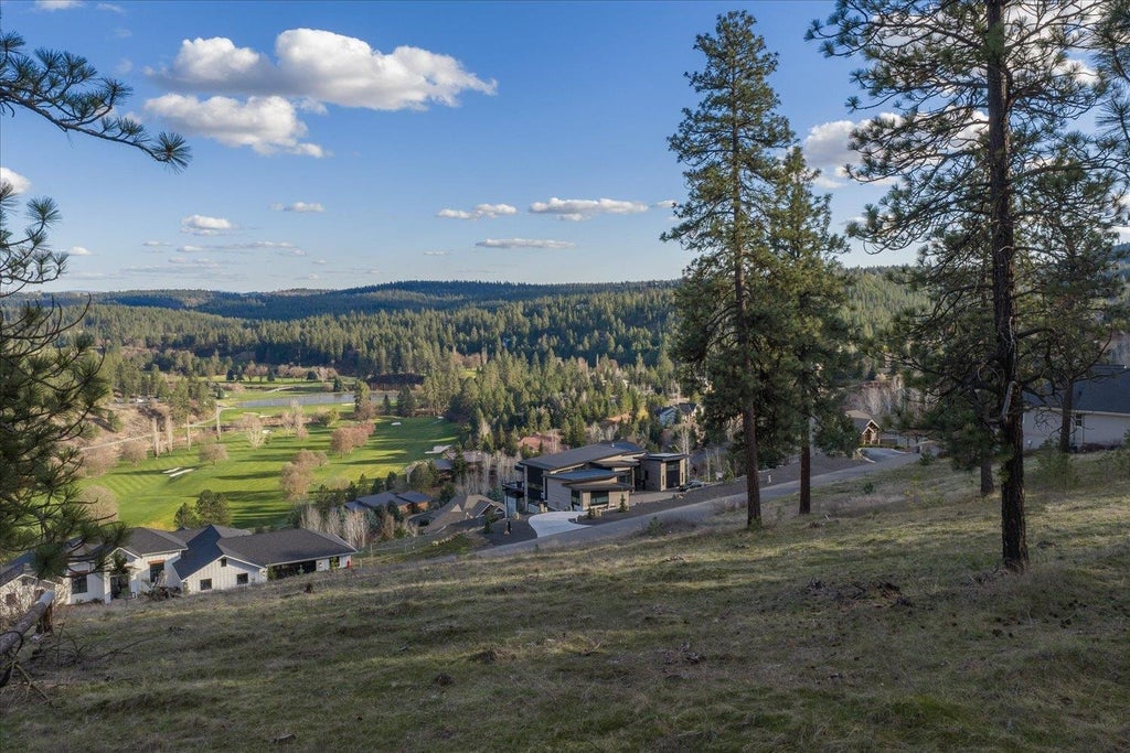 Photo of 11615 S Elk Run Ln, Spokane, WA 99224 (MLS # 202622250)