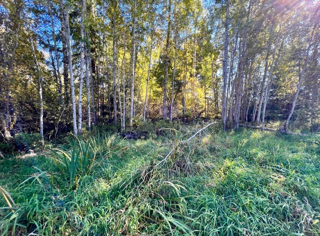 Photo of 48XX S Swenson Rd, Deer Park, WA 99006 (MLS # 202625507)