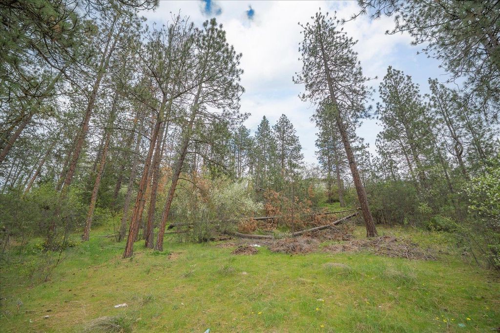 Photo of 56XX E Eastwood Ave, Spokane Valley, WA 99216 (MLS # 202616159)