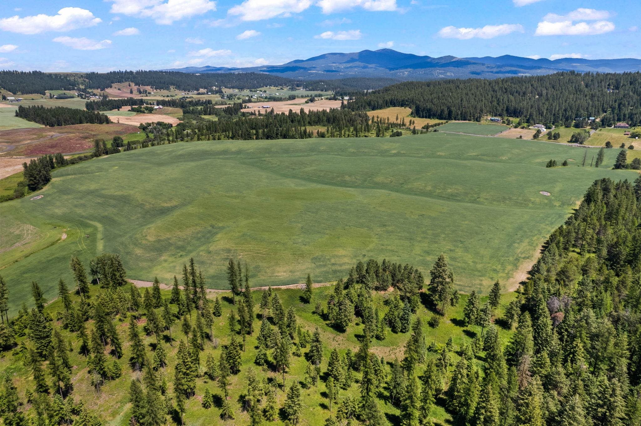 Photo 1 of 18 — 20141 N Bernhill Rd, Colbert, WA 99005