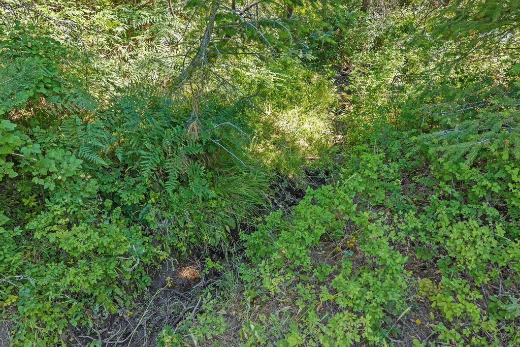 Photo of NKA E Belmont Rd, Mica, WA 99023 (MLS # 202616144)