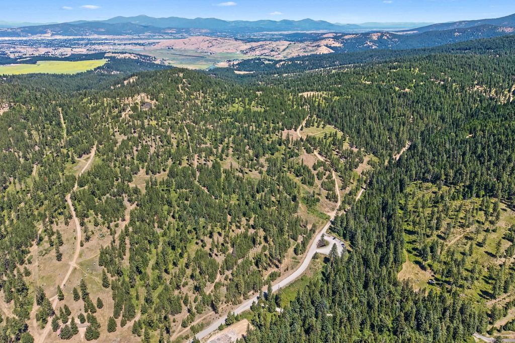Photo of NKA E Belmont Rd, Mica, WA 99023 (MLS # 202616144)