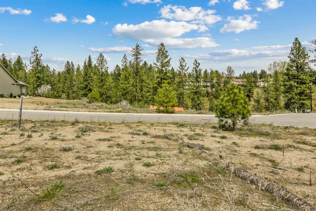Photo of 5103 Scenic Ln, Spokane, WA 99212 (MLS # 202616098)