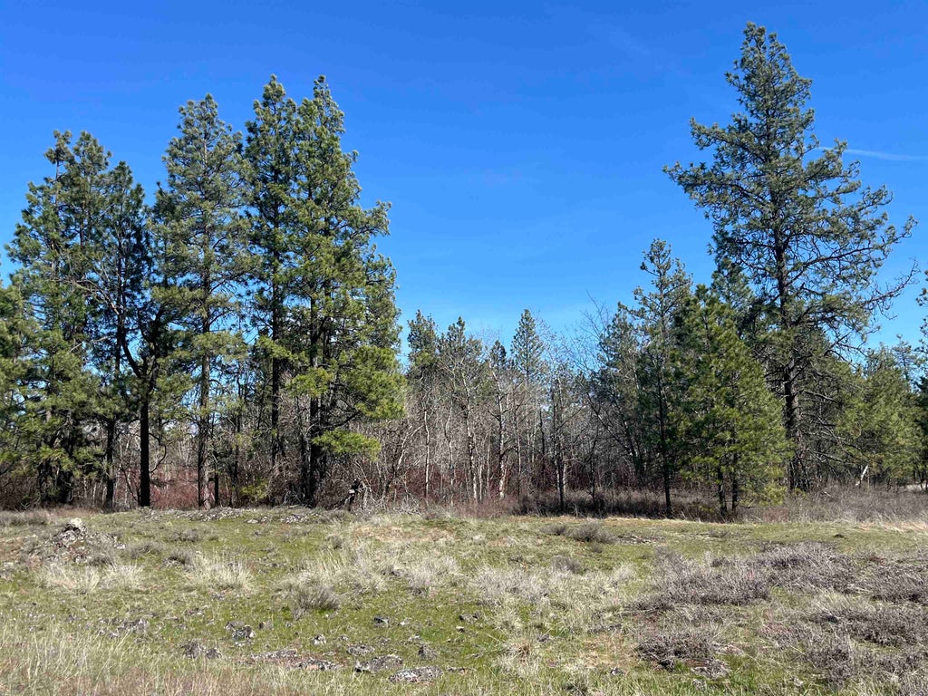 Photo of 249015 W Kitt Rd, Reardan, WA 99029 (MLS # 202624574)