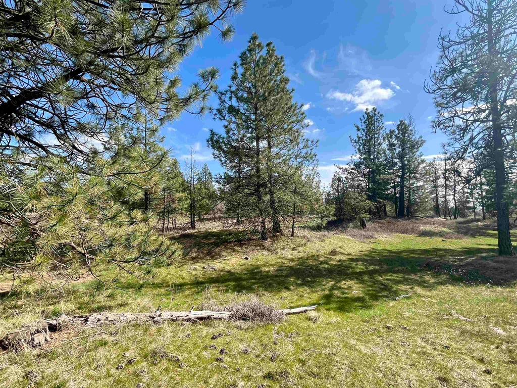 Photo of 249015 W Kitt Rd, Reardan, WA 99029 (MLS # 202624574)