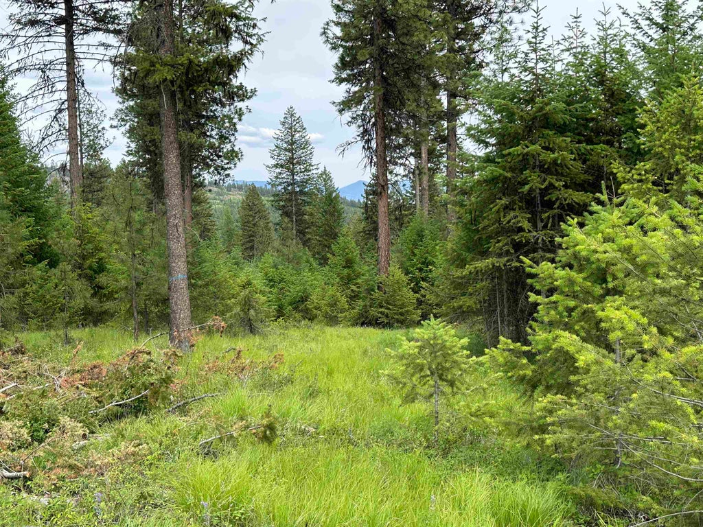 Photo of 36XX Lot E Sheridan Rd, Republic, WA 99166 (MLS # 202624612)