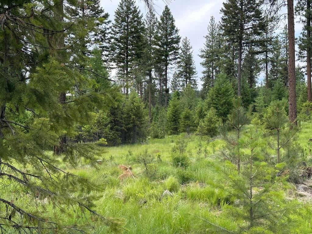 Photo of 36XX Lot E Sheridan Rd, Republic, WA 99166 (MLS # 202624612)
