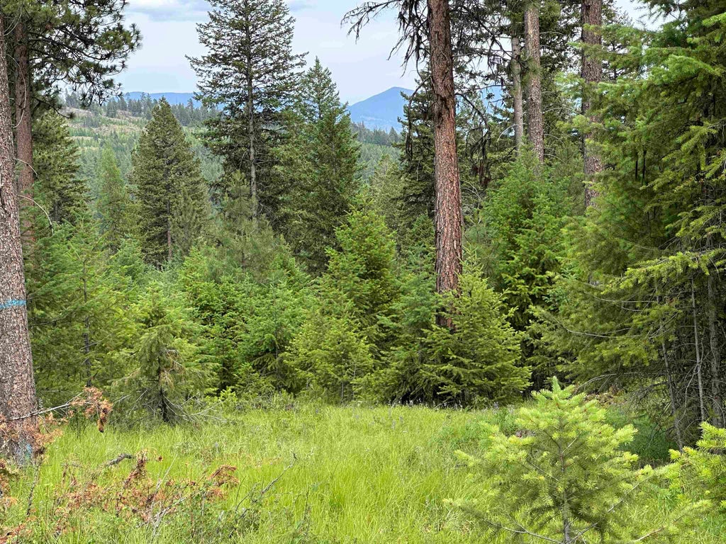 Photo of 36XX Lot E Sheridan Rd, Republic, WA 99166 (MLS # 202624612)