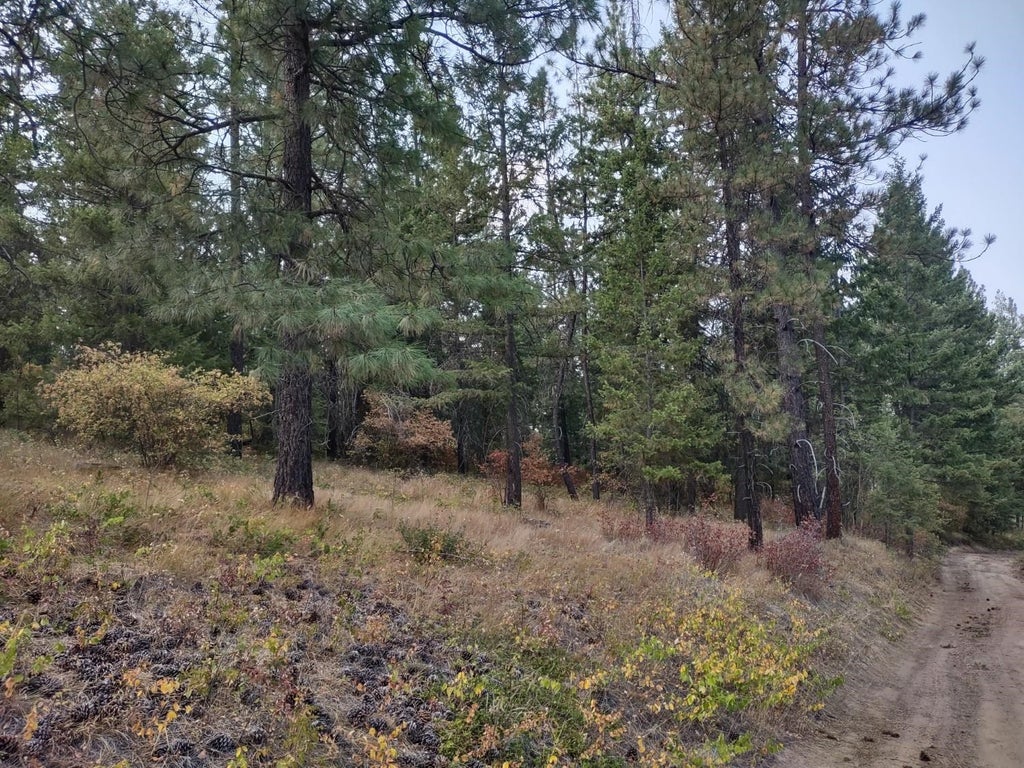 Photo of XX Lodgepole Ln, Elk, WA 99009 (MLS # 202623124)