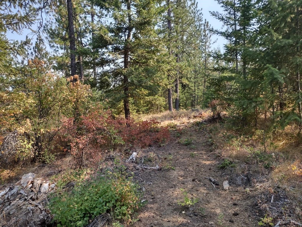 Photo of XX Lodgepole Ln, Elk, WA 99009 (MLS # 202623124)