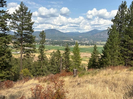 WEST WAY, NINE MILE FALLS, WA 99026 - Image e8e9ea0a2d0e9812401684cb48dfa69f/305604501