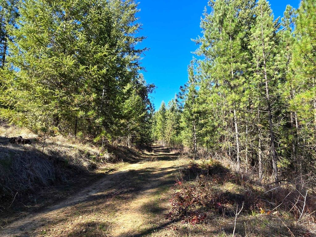 Photo of 6400 Castle Rock Creek Rd Rd, Fruitland, WA 99129 (MLS # 202616166)