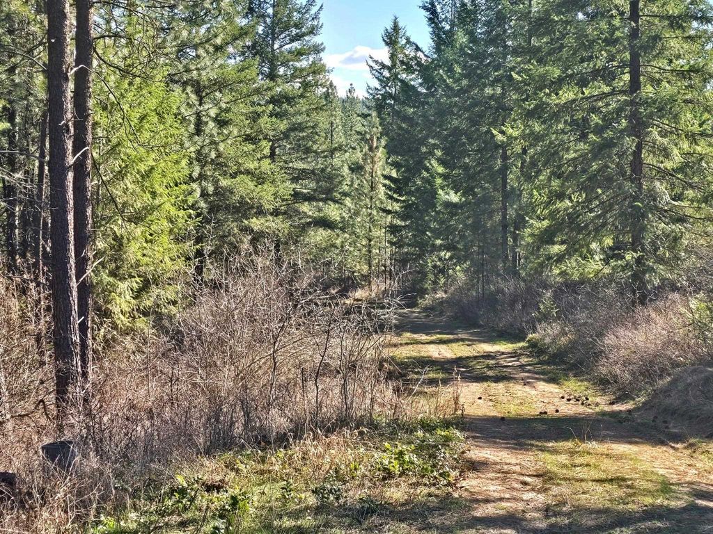 Photo of 6400 Castle Rock Creek Rd Rd, Fruitland, WA 99129 (MLS # 202616166)