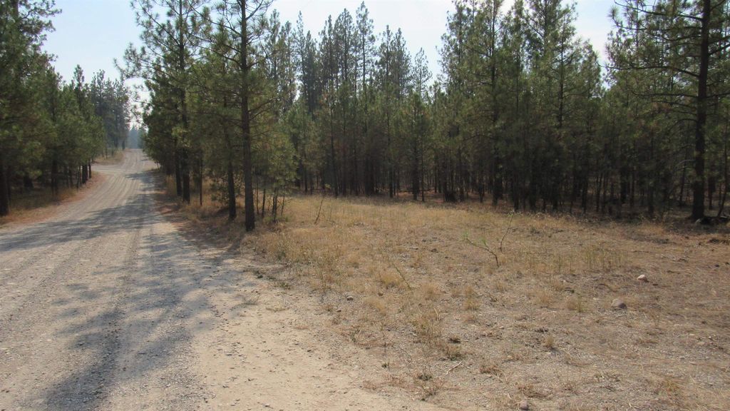 Photo of 7732 Wicker Drive Way, Ford, WA 99013 (MLS # 202524908)