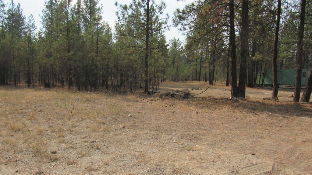 Photo of 7732 Wicker Drive Way, Ford, WA 99013 (MLS # 202524908)