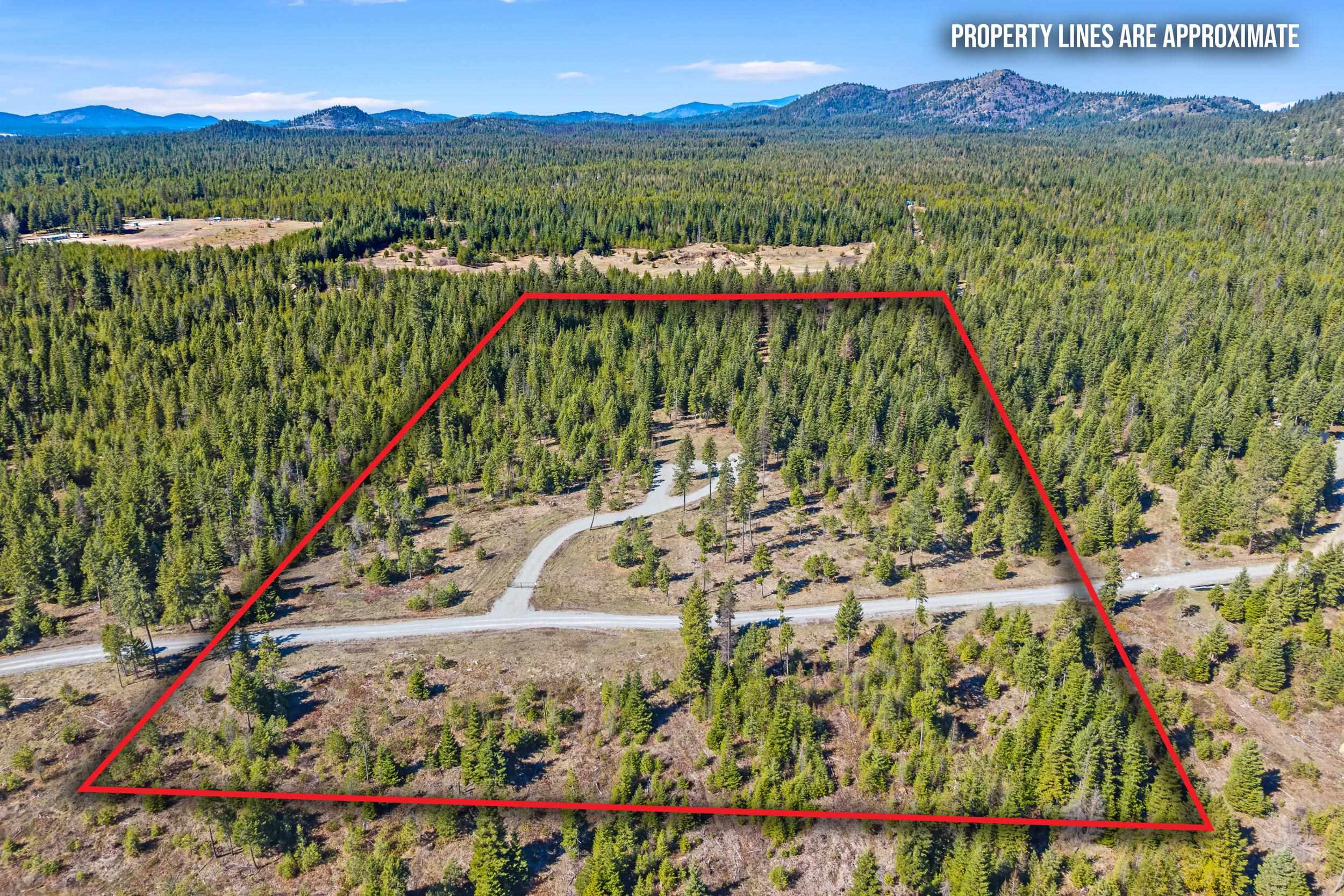 555 Happy Trails Ln - Photo 2