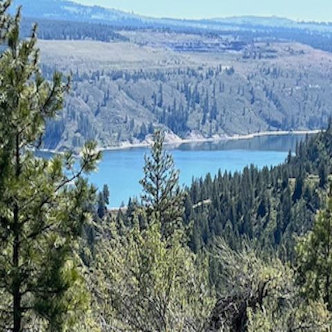  in Davenport WA Lot 10 Timber Bay Ranches Dr.jpg