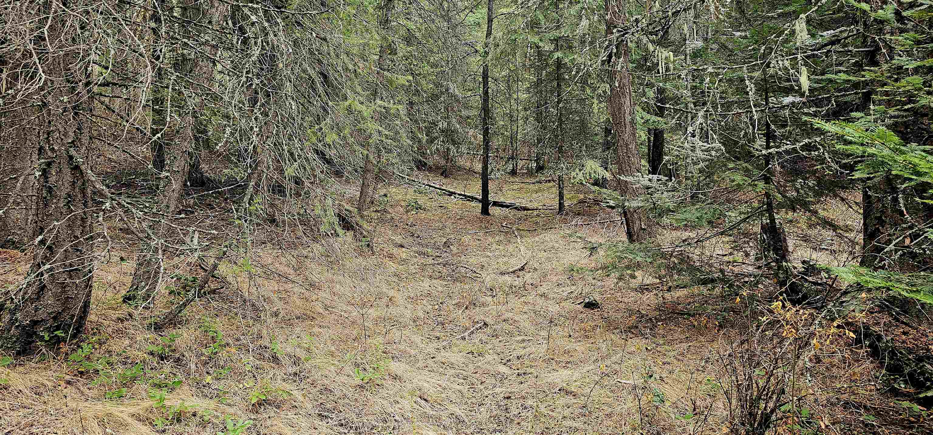 View Springdale, WA 99173 land