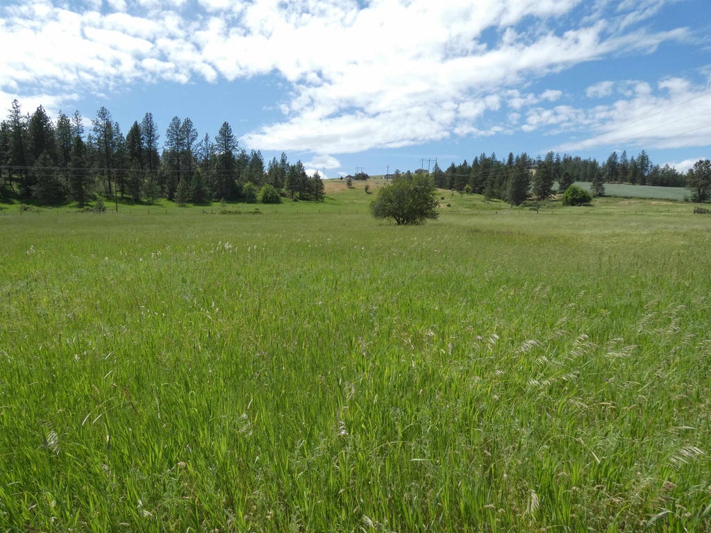 Photo of 8309 W Jensen Rd, Cheney, WA 99004 (MLS # 202625834)