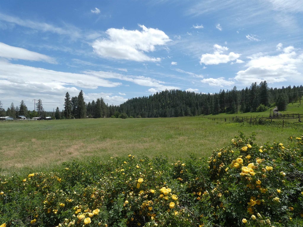 Photo of 8309 W Jensen Rd, Cheney, WA 99004 (MLS # 202625834)