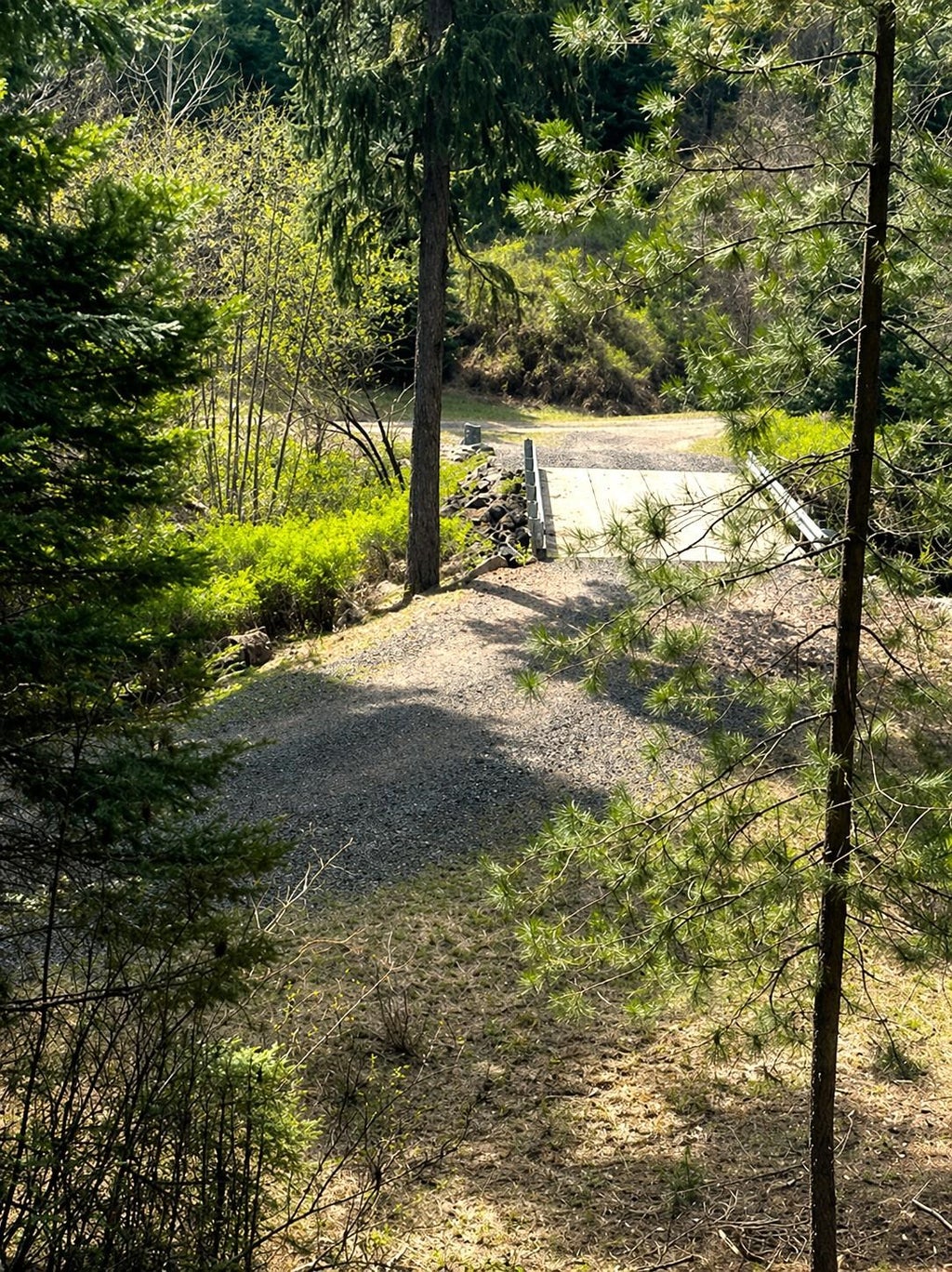 Photo of 11XXX Hartley Ln, Chattaroy, WA 99003 (MLS # 202623494)