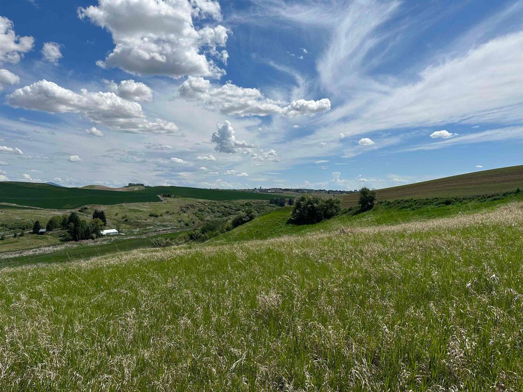 Photo of 7XX S Armstrong Rd, Pullman, WA 99163 (MLS # 202616446)