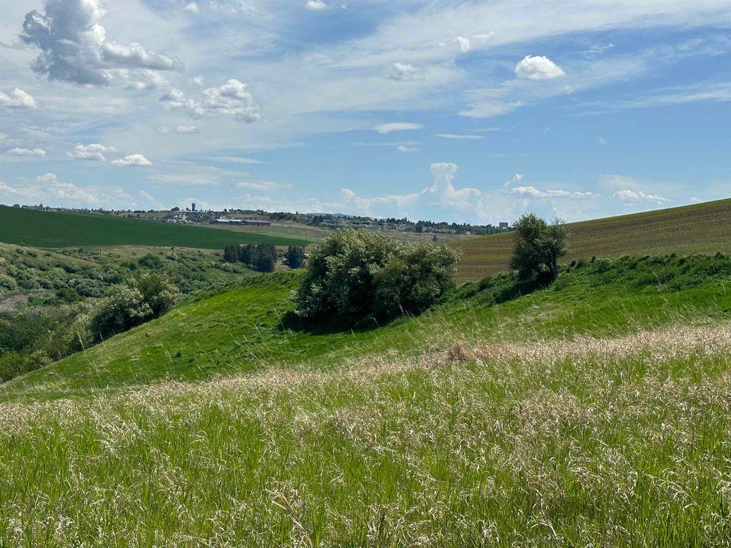 Photo of 7XX S Armstrong Rd, Pullman, WA 99163 (MLS # 202616446)