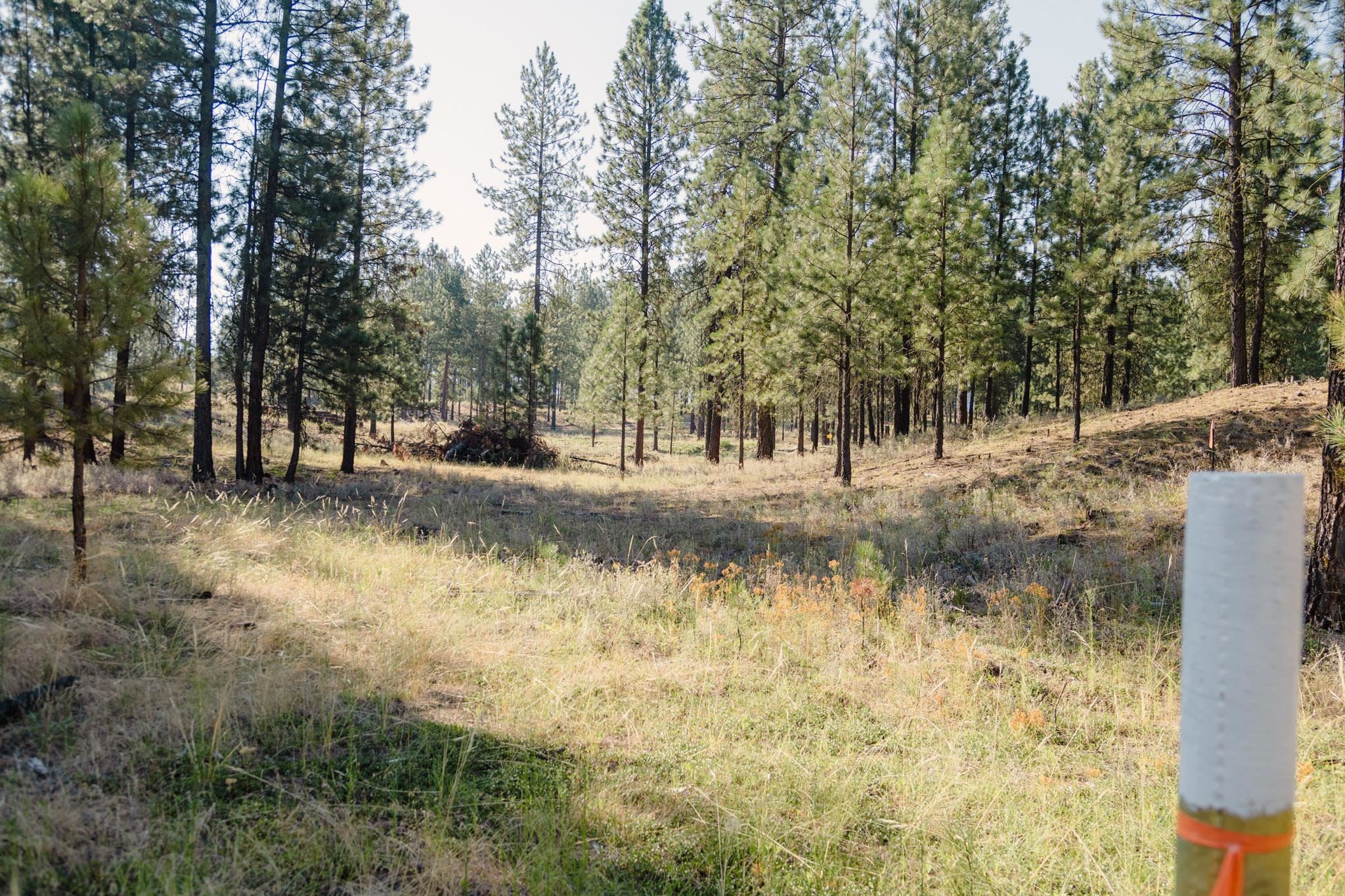 View Kettle Falls, WA 99141 land