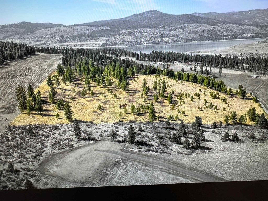 Photo of 31500 E Mule Deer Dr, Davenport, WA 99122 (MLS # 202616190)