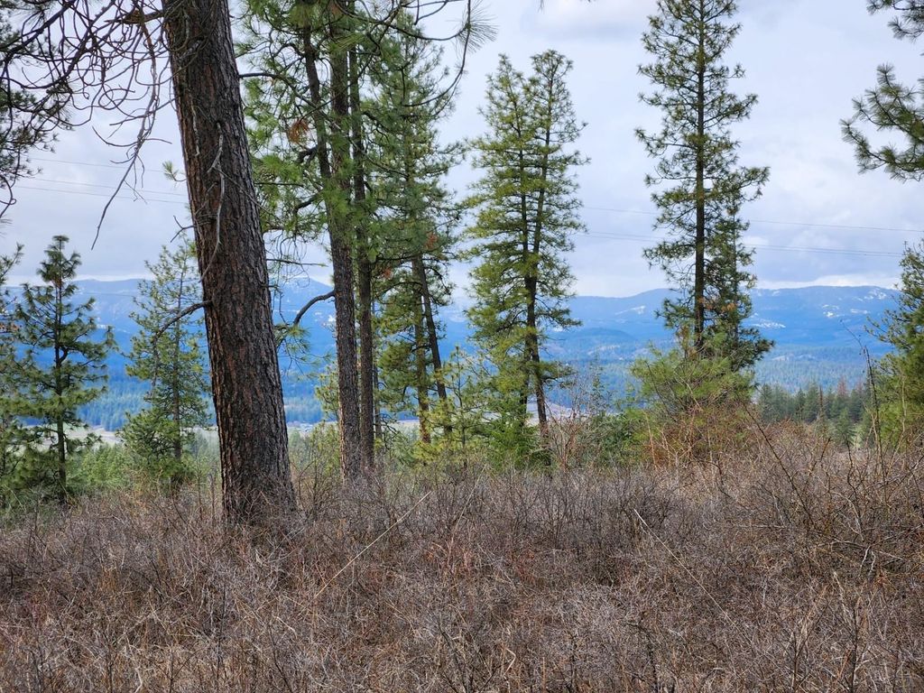 Photo of 29xx Bakie Rd, Valley, WA 99181 (MLS # 202525550)