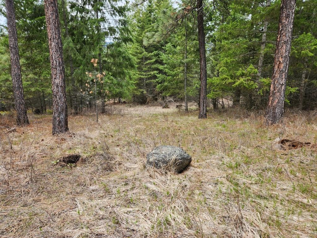Photo of 29xx Bakie Rd, Valley, WA 99181 (MLS # 202525550)