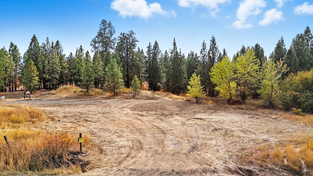 Photo of 12606 E Connor Rd, Valleyford, WA 99036 (MLS # 202525453)