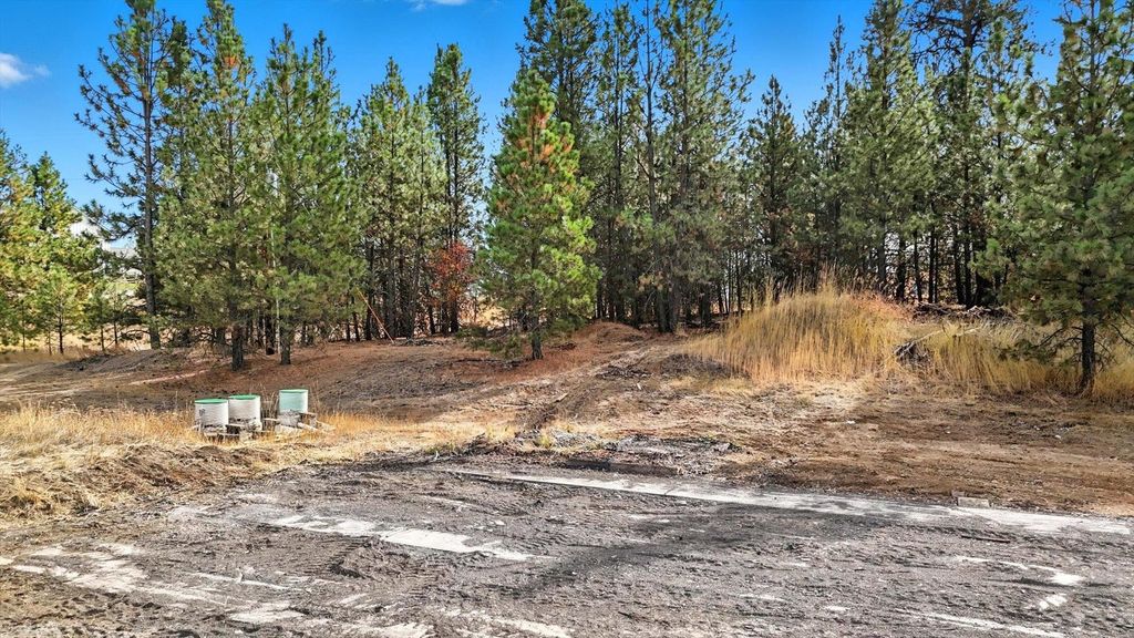 Photo of 12606 E Connor Rd, Valleyford, WA 99036 (MLS # 202525453)