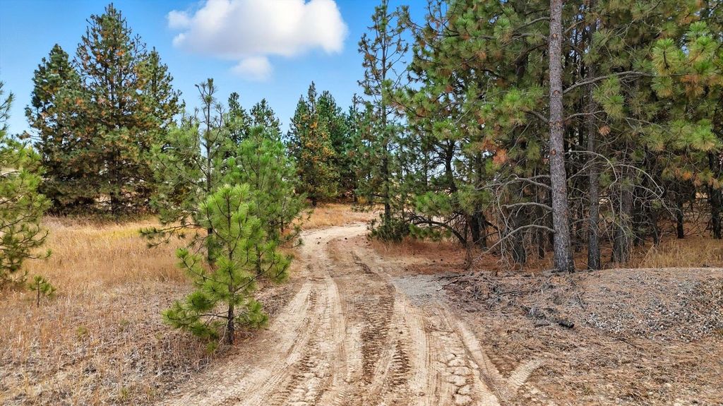 Photo of 12606 E Connor Rd, Valleyford, WA 99036 (MLS # 202525453)