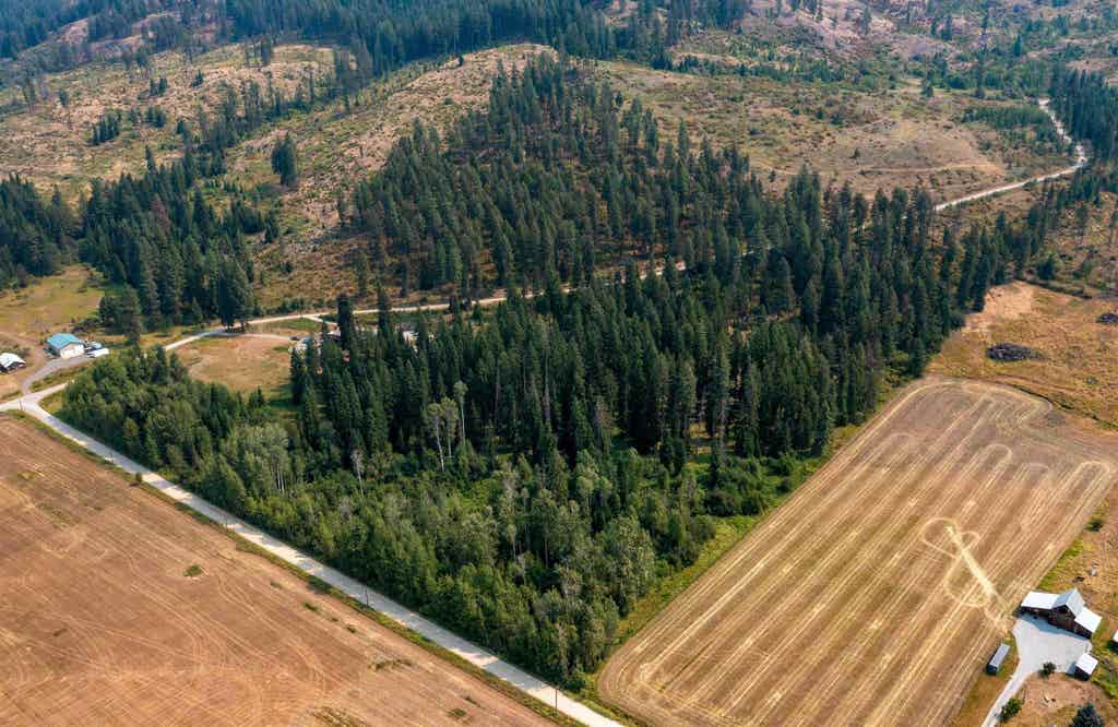 Photo of NKA Berry Rd, Usk, WA 99180 (MLS # 202622060)