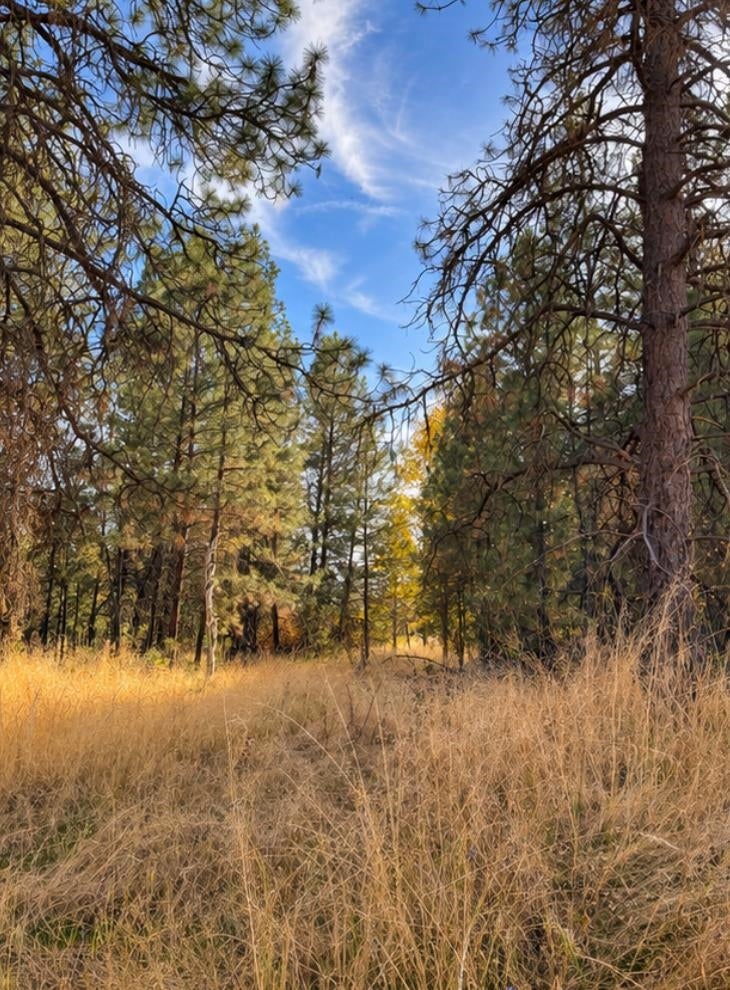 Photo of 000 W 34th Ave, Spokane, WA 99224 (MLS # 202626109)