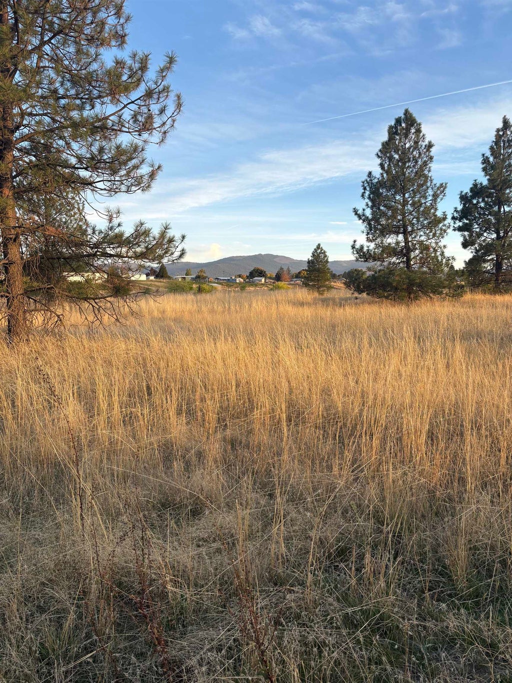 Photo of 6310 N Ormond Rd, Otis Orchards, WA 99027 (MLS # 202625899)