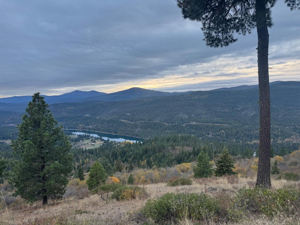 Photo of NKA N Leclerc Rd, Cusick, WA 99119 (MLS # 202625847)