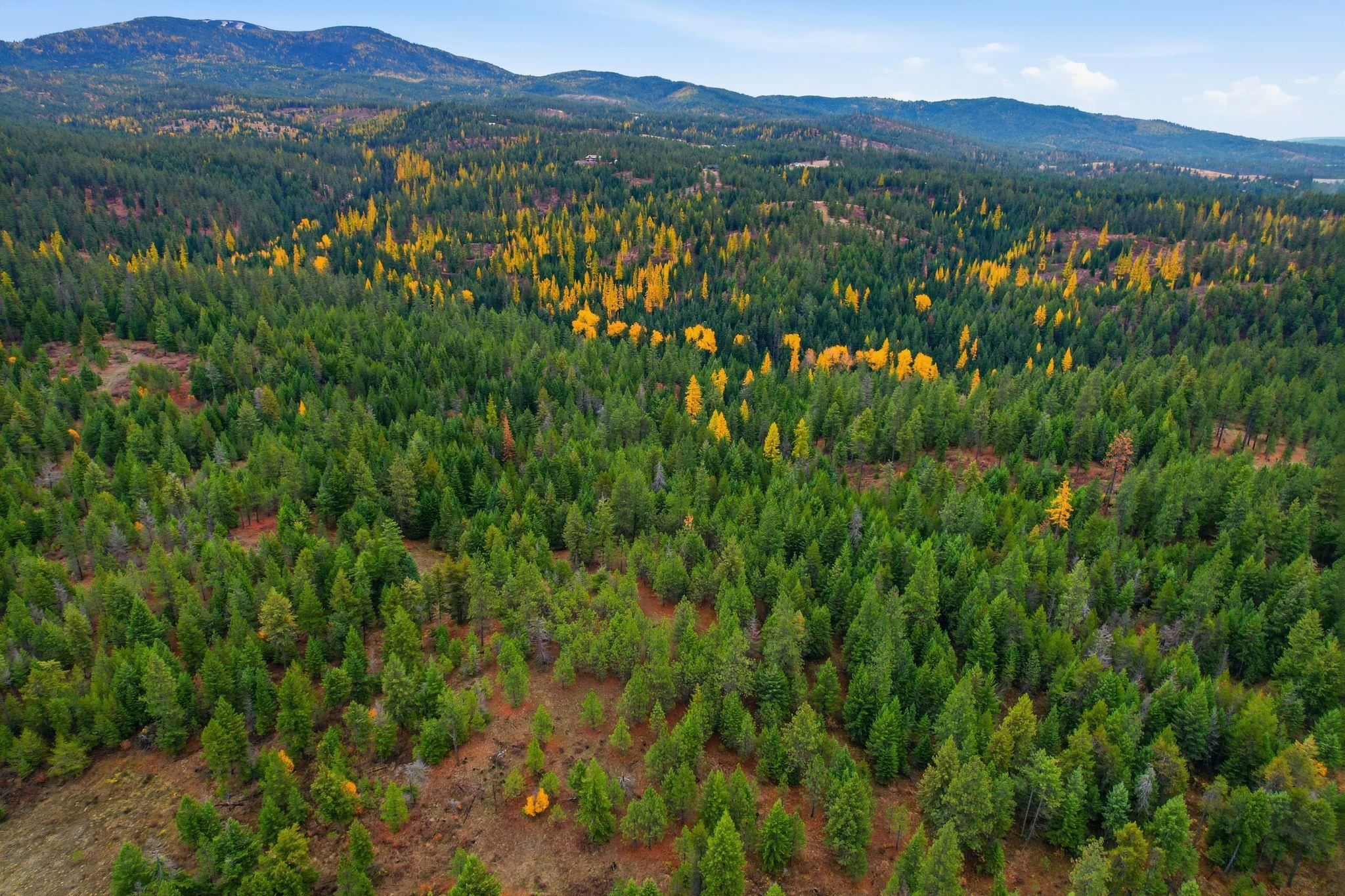 Photo 1 of 11 — 48094.9045 000 Unknown Rd, Spokane, WA 99003