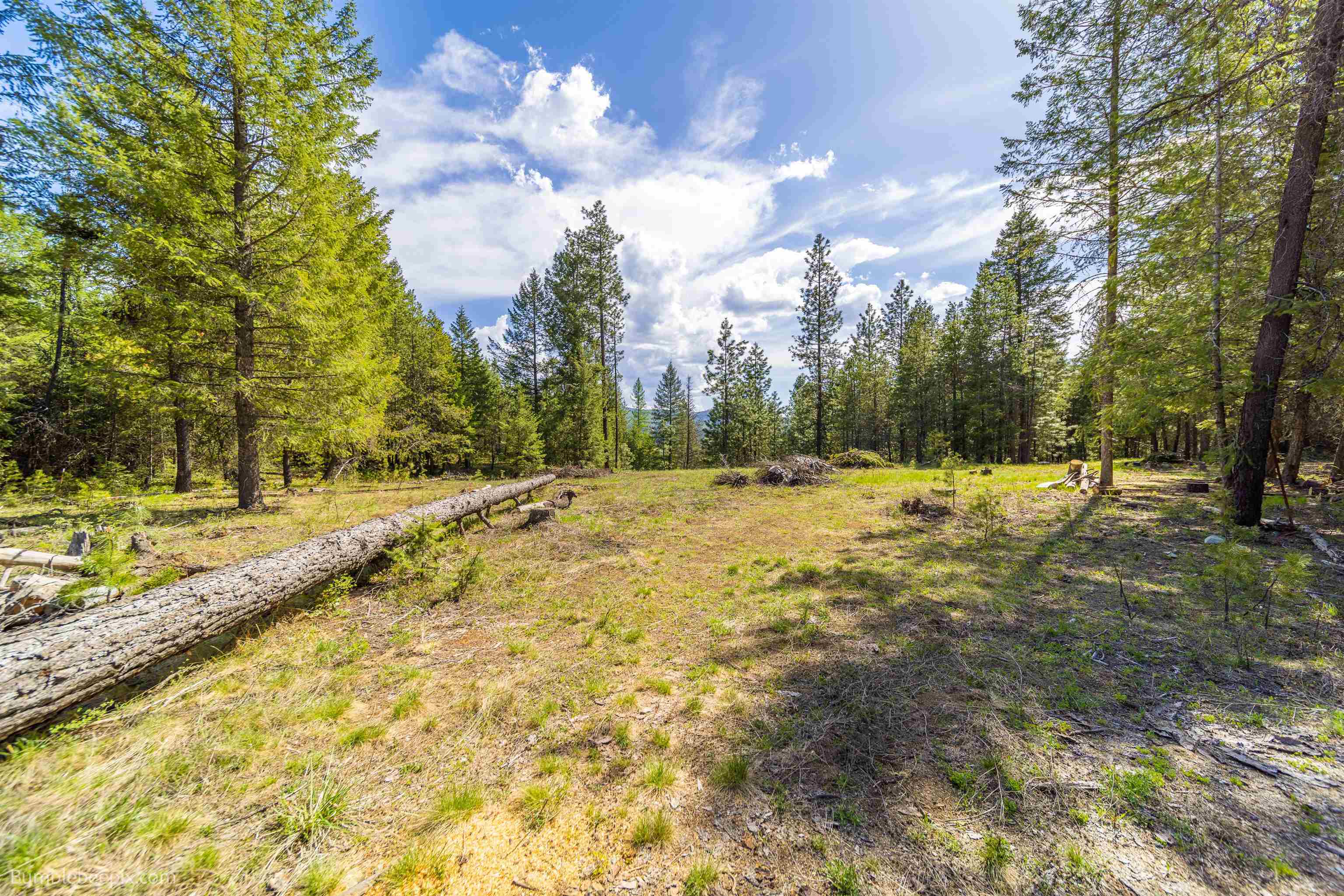 Photo 9 of 22 of L2 Blk B Pines Rd land