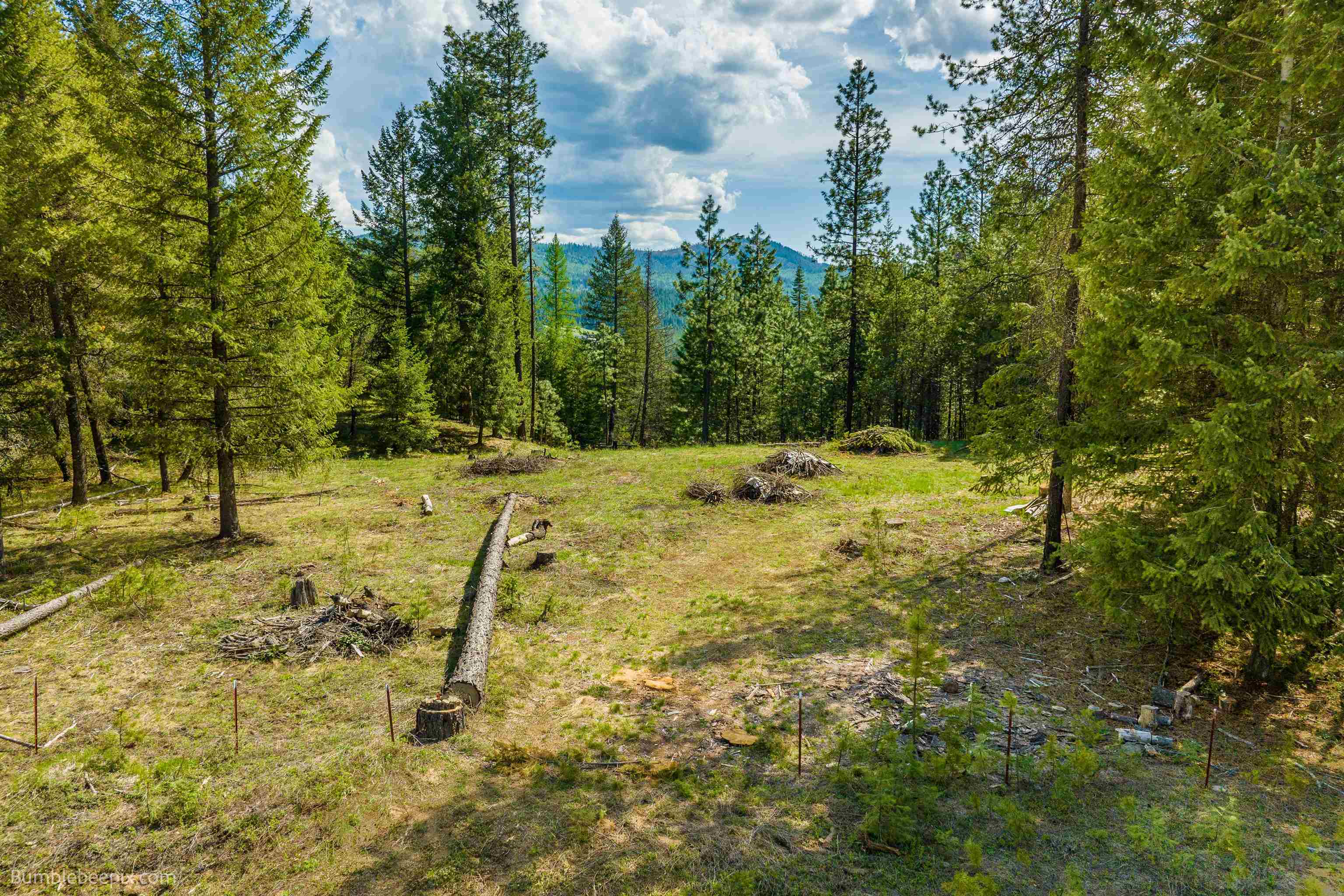 Photo 4 of 22 of L2 Blk B Pines Rd land