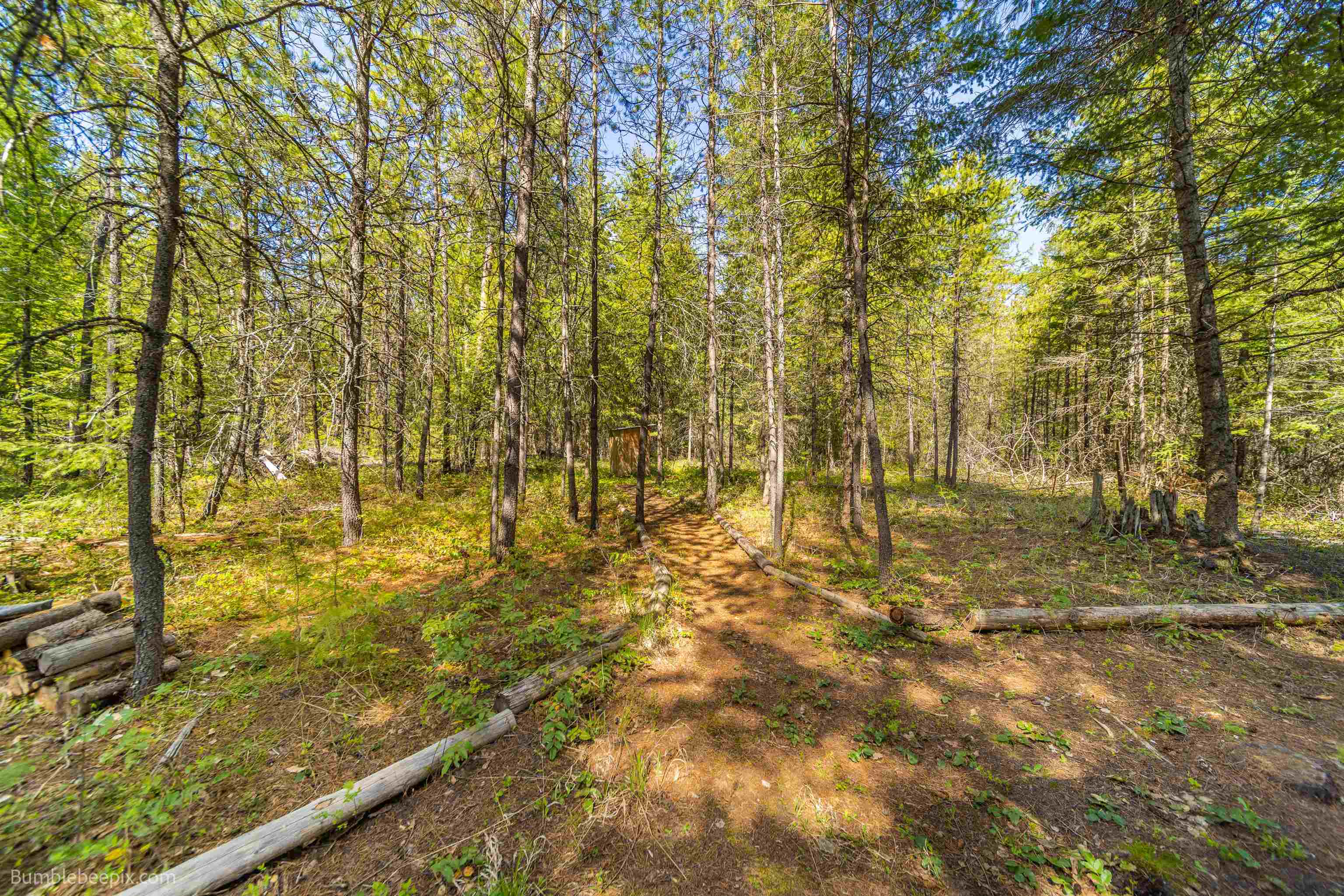Photo 13 of 22 of L2 Blk B Pines Rd land